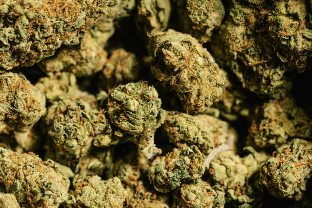 Top 5 Indoor Strains Top 5 Indoor Strains