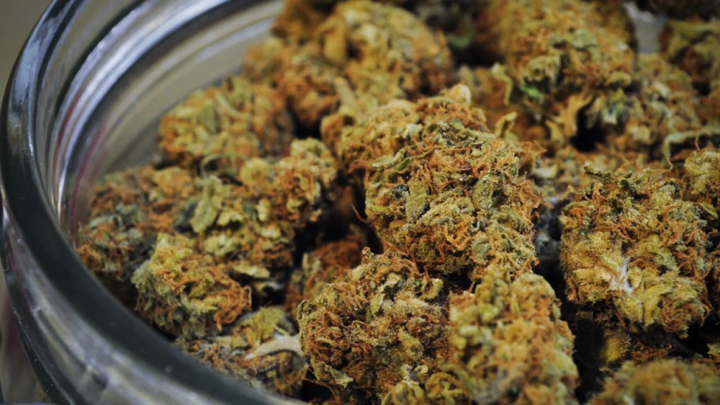 Cryptocurrency and Weed Cryptocurrency and Weed