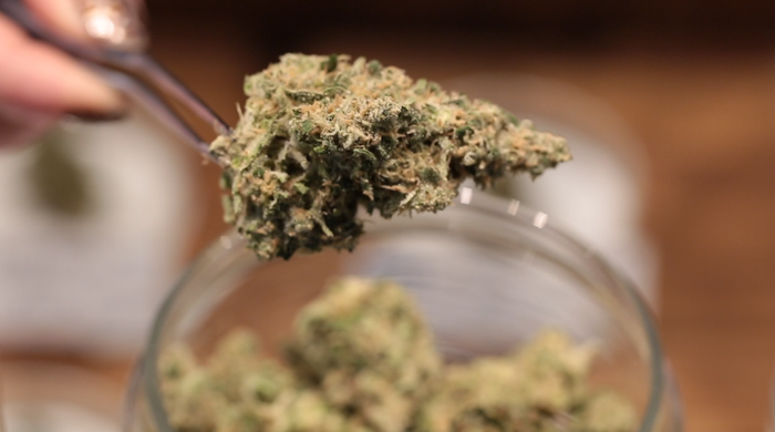 Plant Growth Regulators Plant Growth Regulators