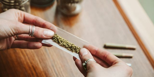 What Is Trichoderma in simple terms