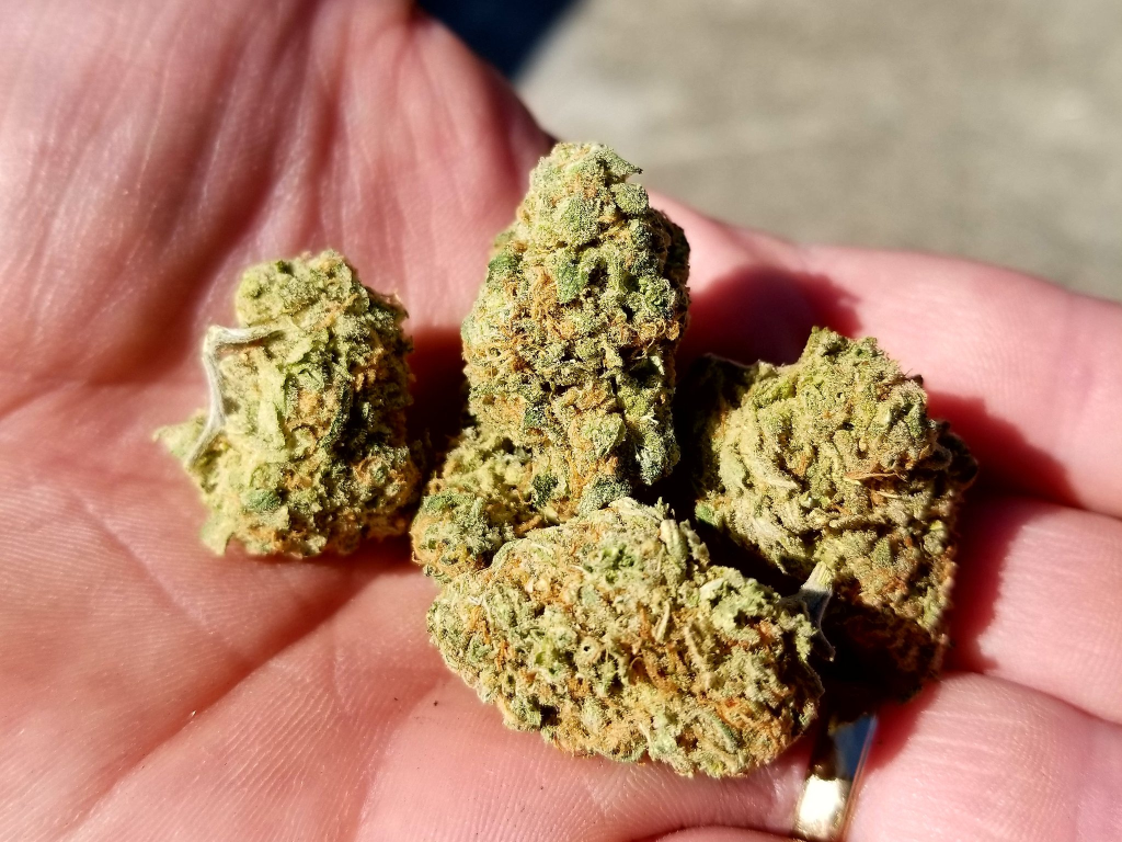 What Are the Advantages of Cannabis Pre-Rolls?