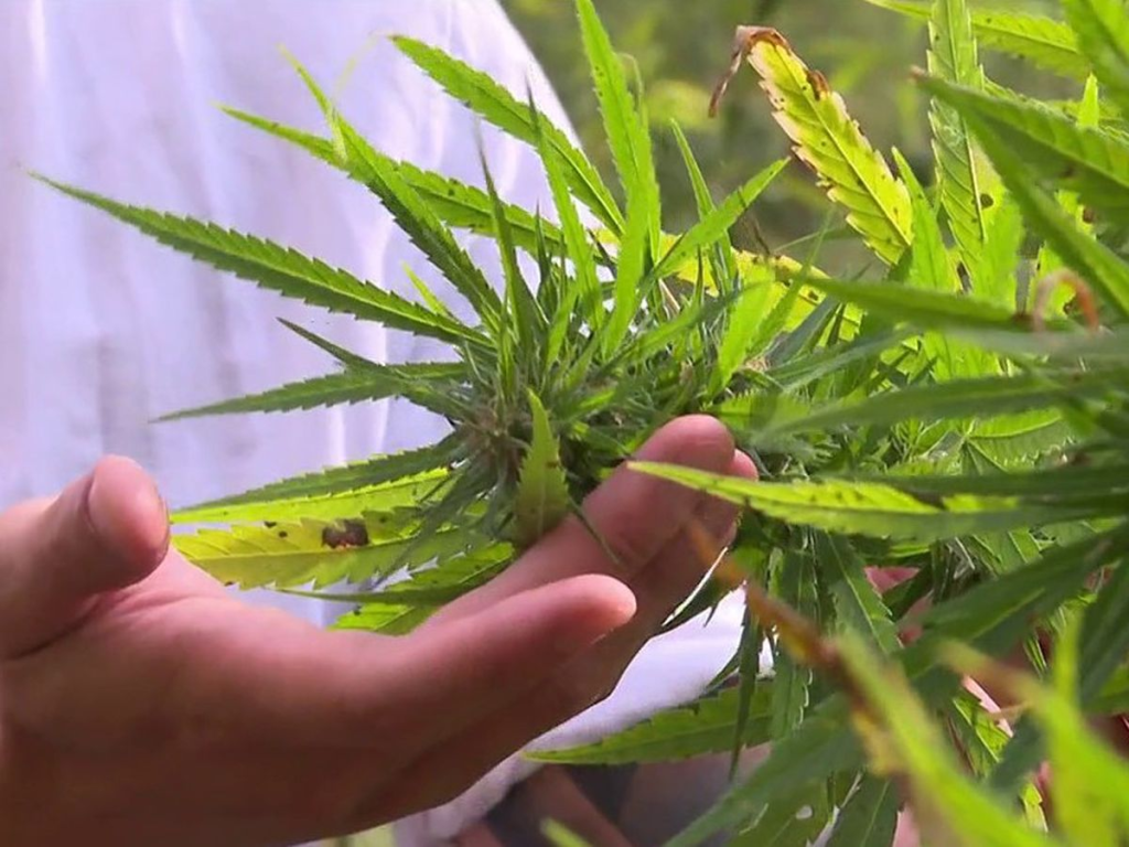 Easy Ways to Make Edibles yourself Easy Ways to Make Edibles yourself