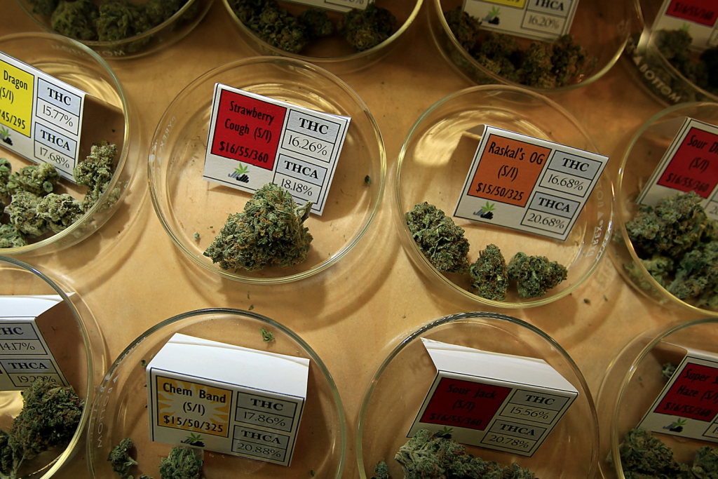 Cannabis Culture: Best Movies