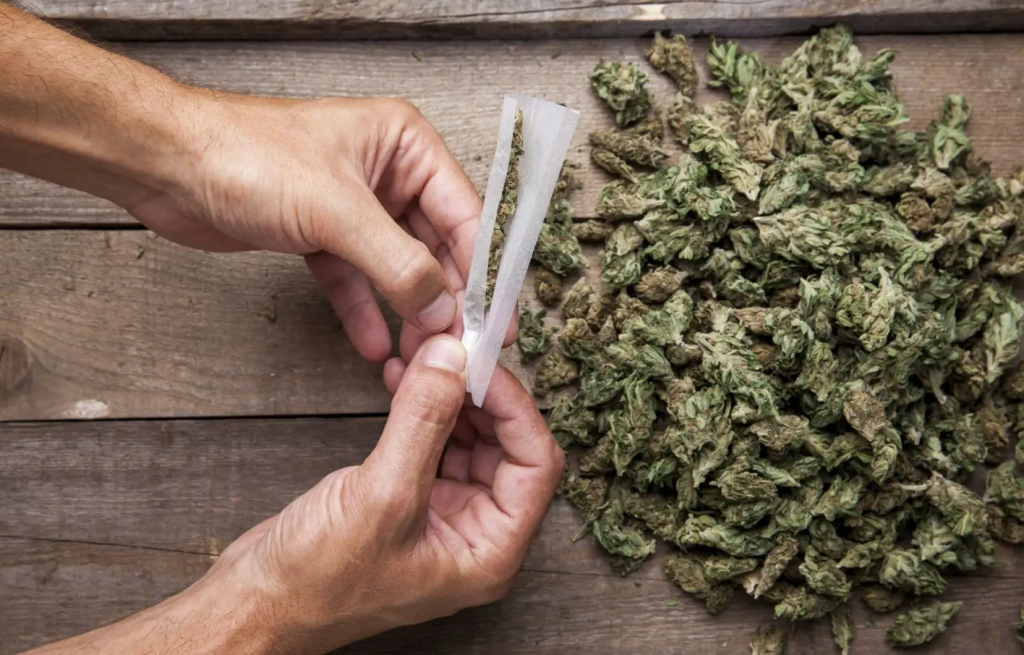 How To Grow Organic Cannabis at home